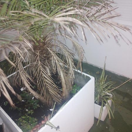 فندق دودو سويتس مار ديل بلاتا المظهر الخارجي الصورة